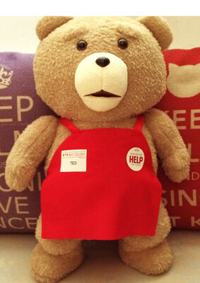 Il poliestere marrone-rosso di Ted dell'orso del bambino dei giocattoli adorabili della peluche accetta il ODM dell'OEM