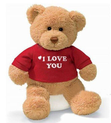 La peluche personale gioca l'orsacchiotto della famiglia di tre Brown con la maglietta