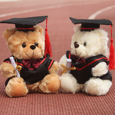 Orsacchiotto del dottore Graduation Plush per la celebrazione 30cm di graduazione