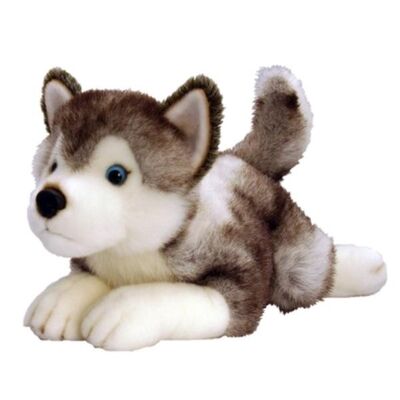 La peluche su ordinazione bianca molle a 12 pollici dell'animale farcito del husky gioca Eco amichevole