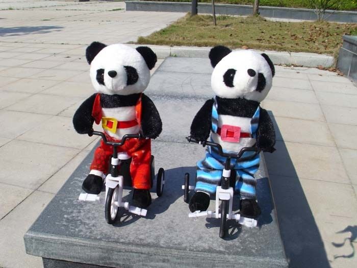 Giocattoli musicali della peluche del cotone di 100% pp, giocattolo molle del panda animale elettronico della bicicletta